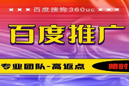 竞价托管与SEO结合的案例分析