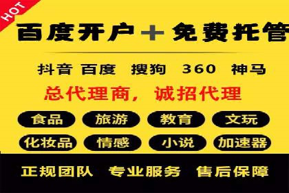 谷歌SEM案例研究：数据分析与效果评估
