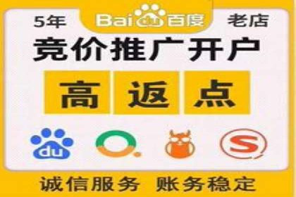 案例研究：SEM优化助力品牌知名度